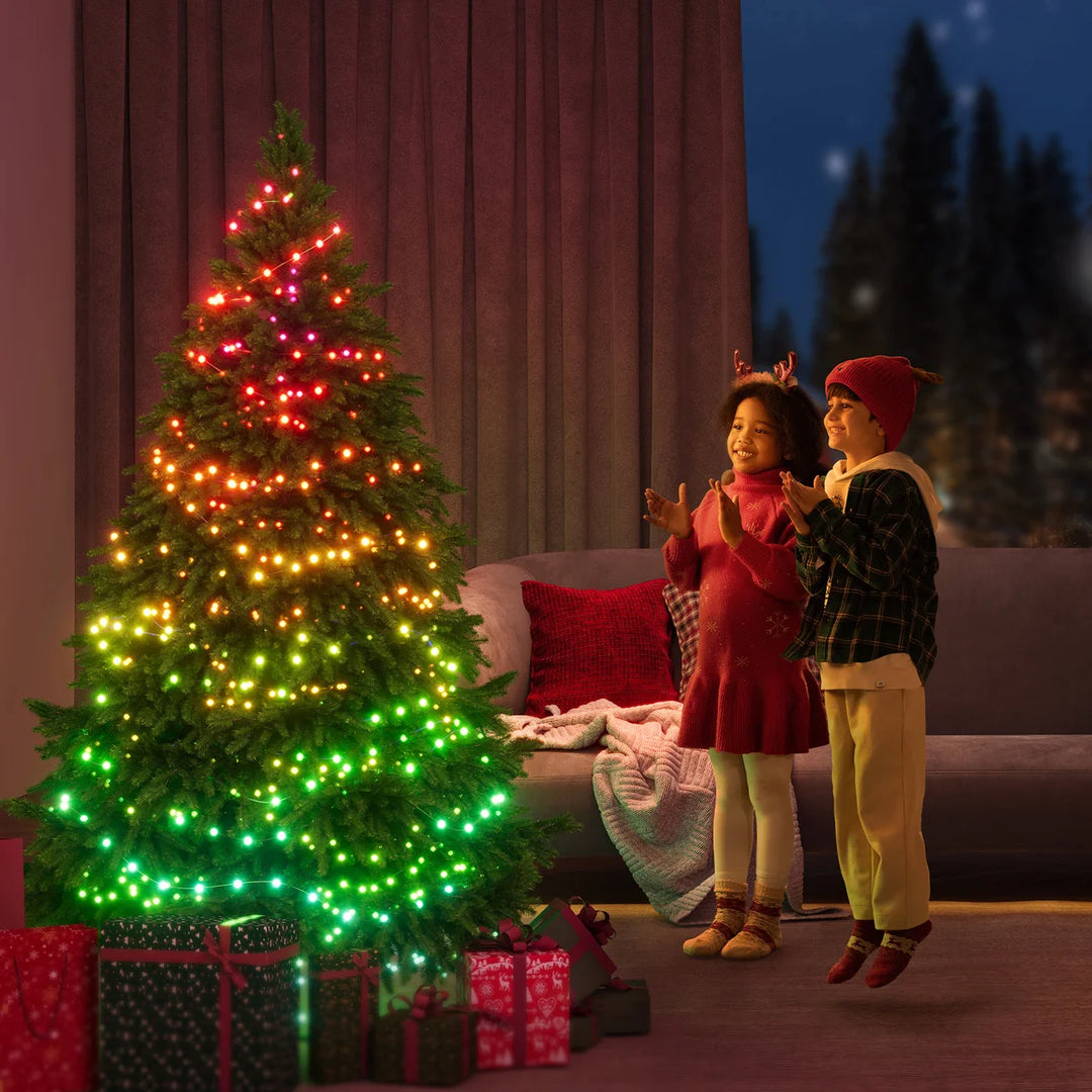 Govee - Guirlande lumineuse de Noël 30,48 m (100 pi), 2 pièces