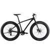 Northrock - XC00 Fat Tire Bike 66 cm (26 in)