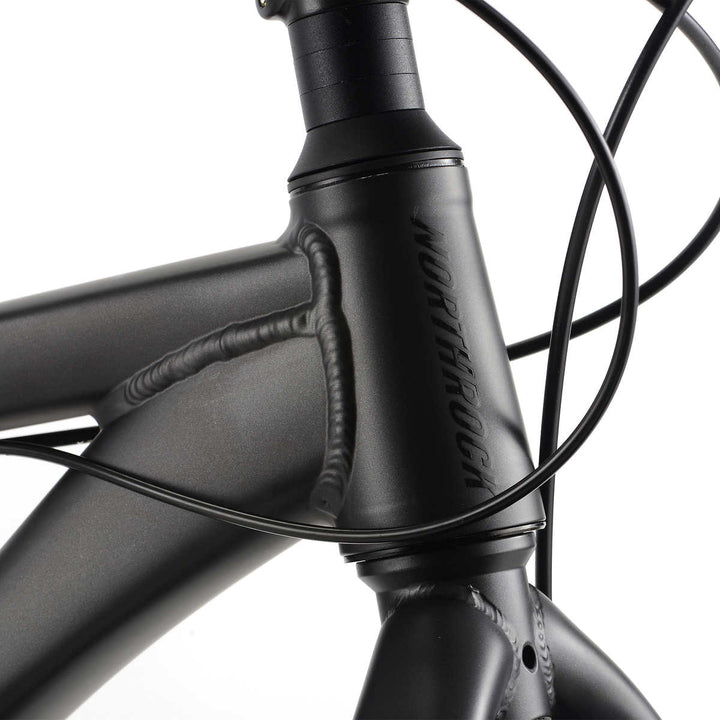 Northrock - XC00 Fat Tire Bike 66 cm (26 in)