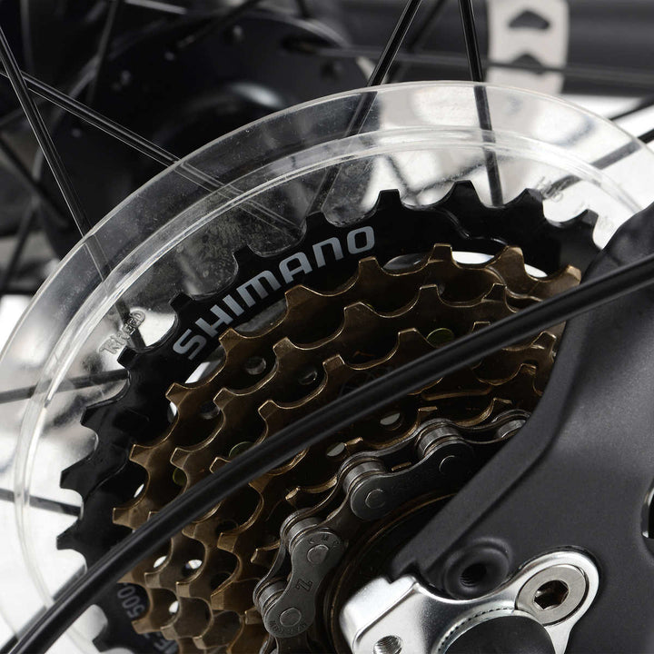 Northrock - XC00 Fat Tire Bike 66 cm (26 in)