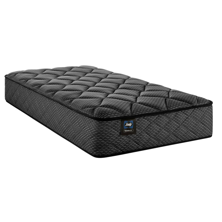Sealy Twin Size Mattress