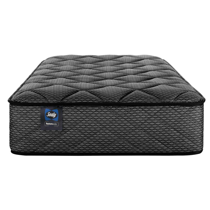Sealy Twin Size Mattress