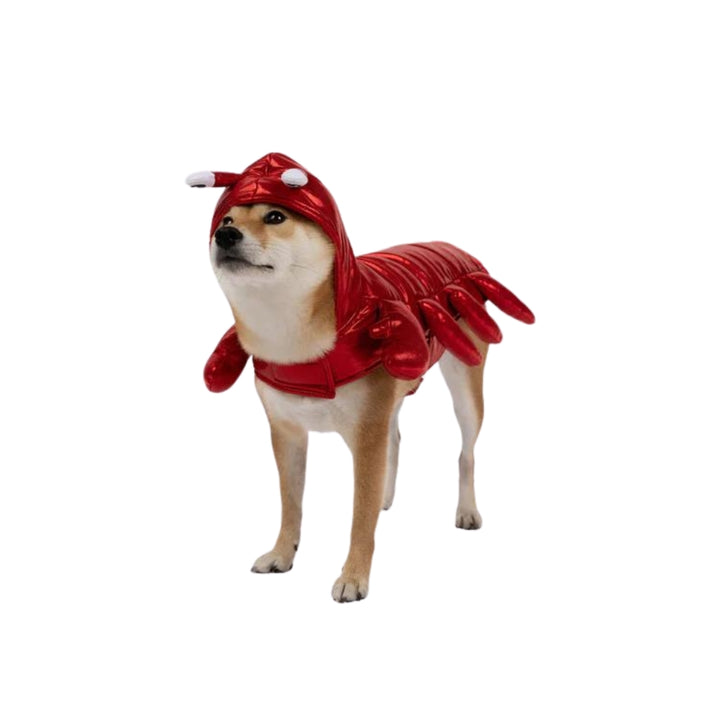 Silver paw - Playful Lobster Costume