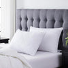 Stearns & Foster - Liquiloft Pillow