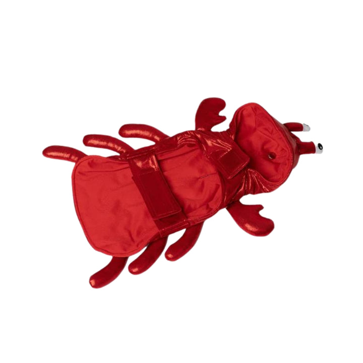 Silver paw - Playful Lobster Costume