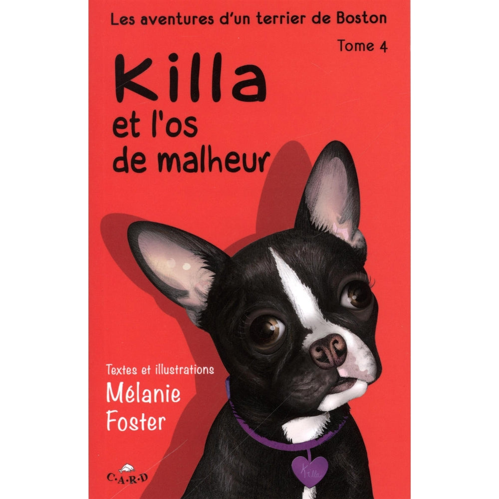 Mélanie Foster - Series of mini novels for children