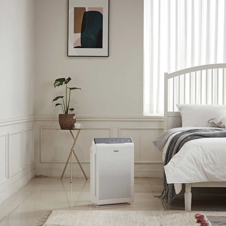 Winix C535 Air Purifier with True HEPA Filter Set