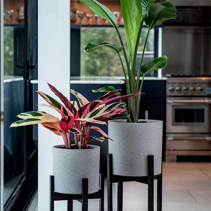 Vita Växa - Planters, set of 2 