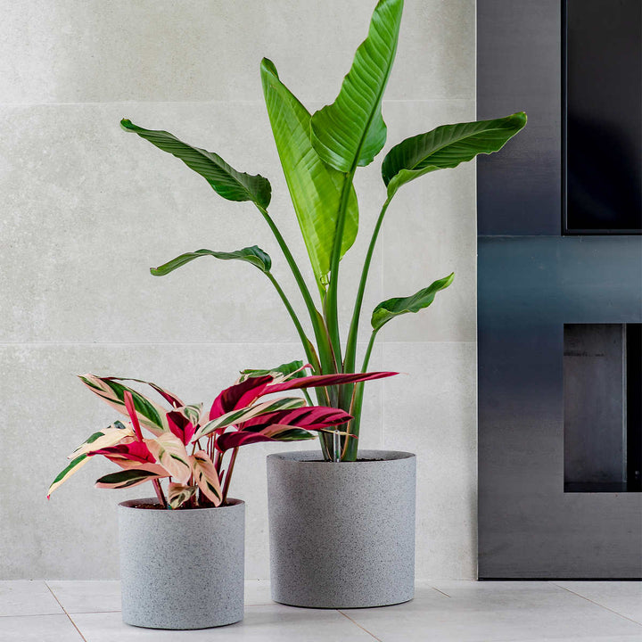 Vita Växa - Planters, set of 2 