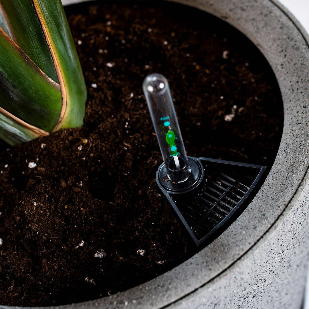 Vita Växa - Planters, set of 2 