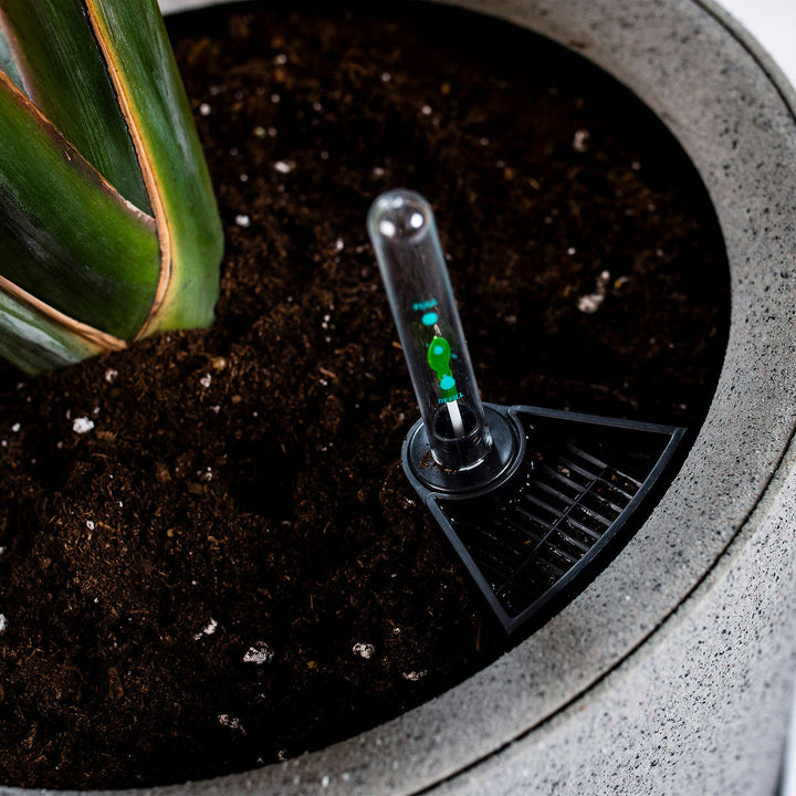 Vita Växa - Planters, set of 2 