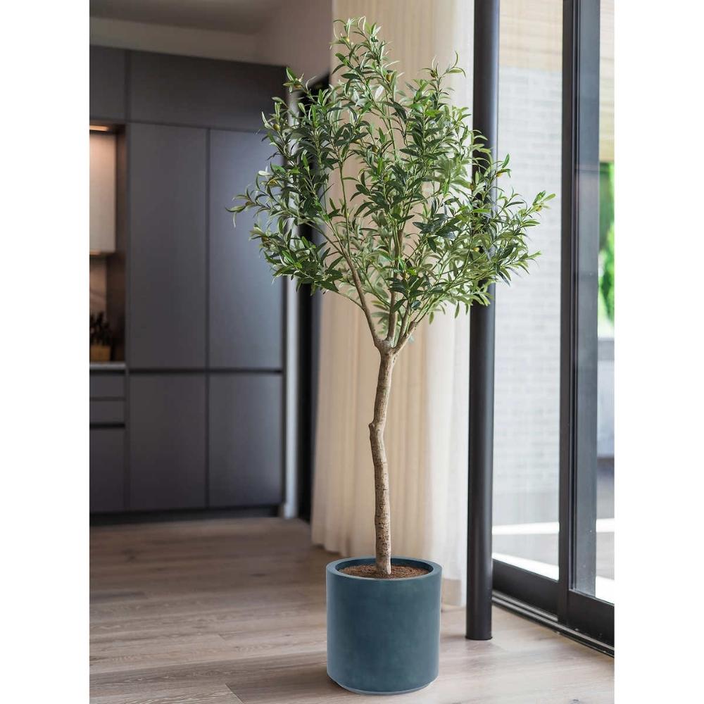 CG Hunter - Artificial Olive Tree in Gray Planter