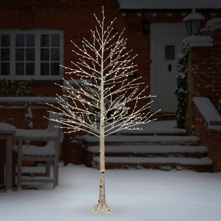 Holiday Birch