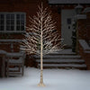 Holiday Birch