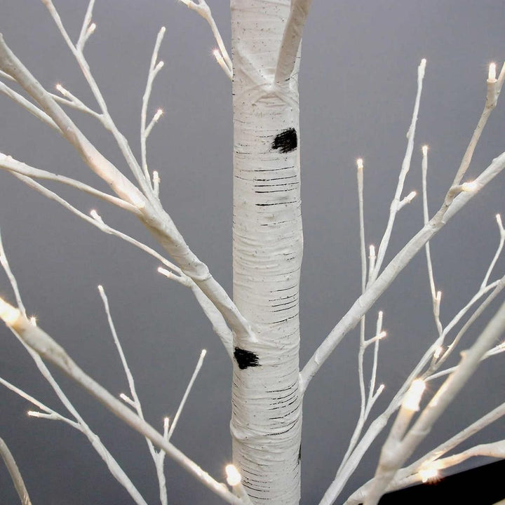 Holiday Birch