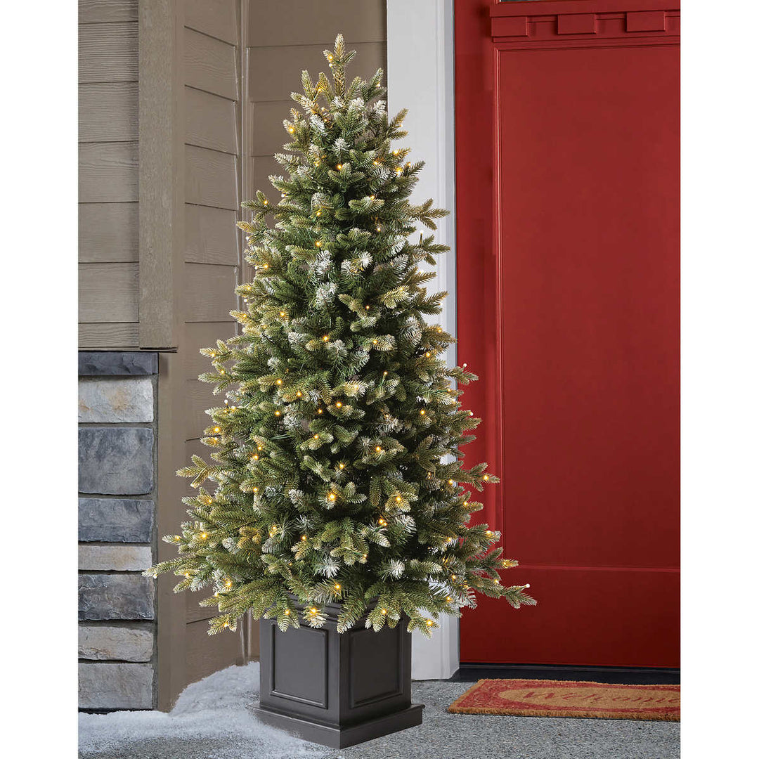 Aspen Pre-Lit Potted Artificial Christmas Tree with Color-Changing Radiant Micro LED Lights - 4 ft