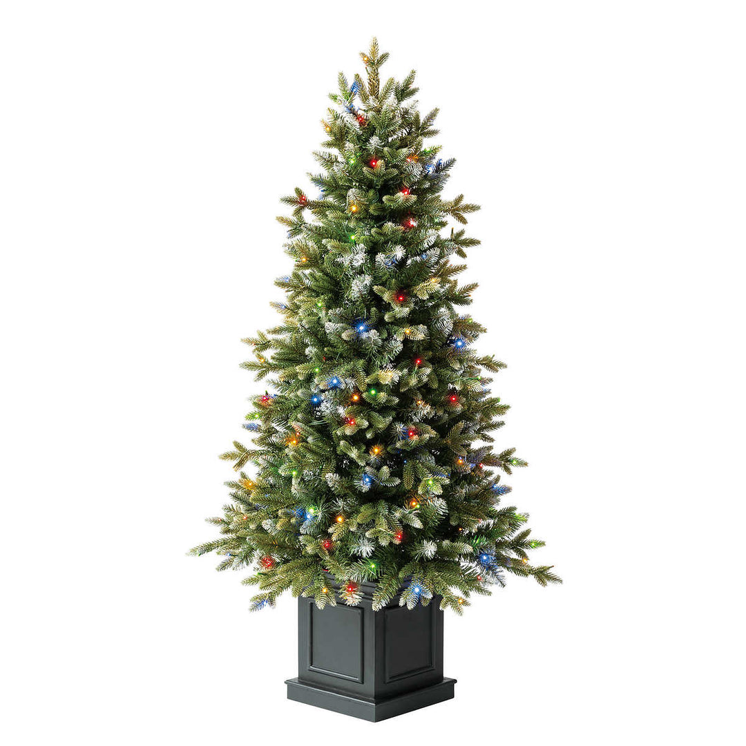 Aspen Pre-Lit Potted Artificial Christmas Tree with Color-Changing Radiant Micro LED Lights - 4 ft
