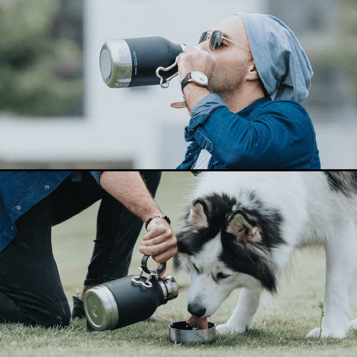 Asobu Insulated Stainless Steel Water Bottle with Removable Water Bowl for Dogs