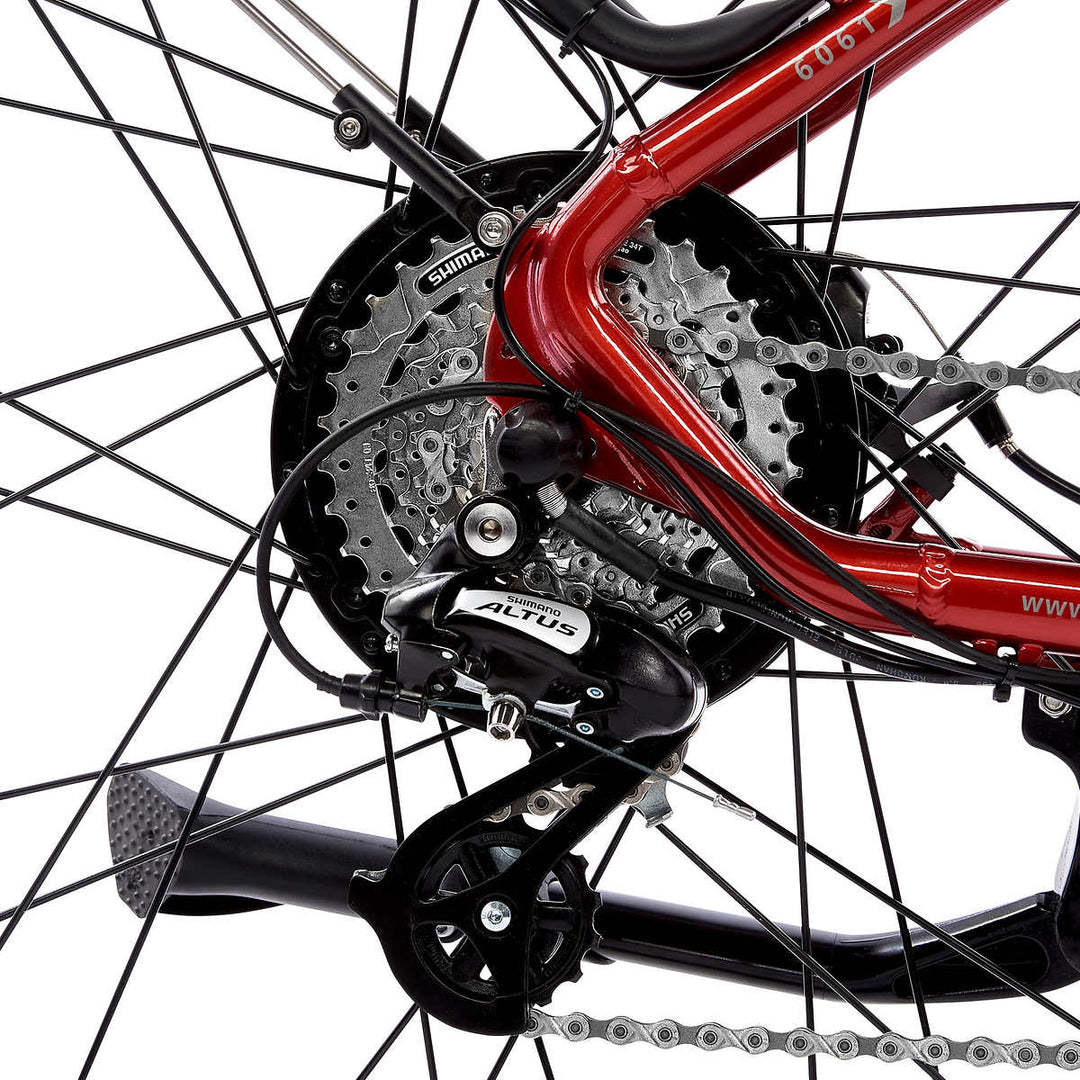 iGO - 3D Hybrid Electric Bike