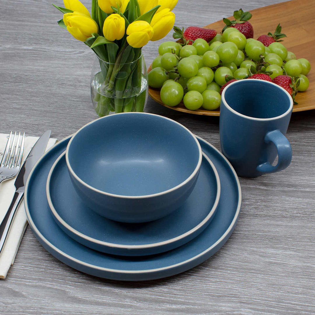 Scott Living 16 Piece Stoneware Dinnerware Set, Oakhurst 