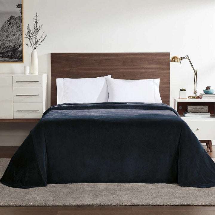 Brookstone Throw Blanket