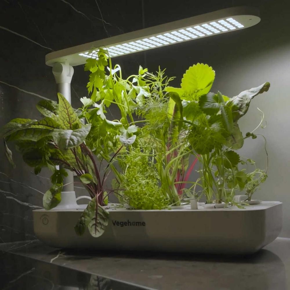 Vegehome - Indoor Garden, Indoor Garden Starter Kit 
