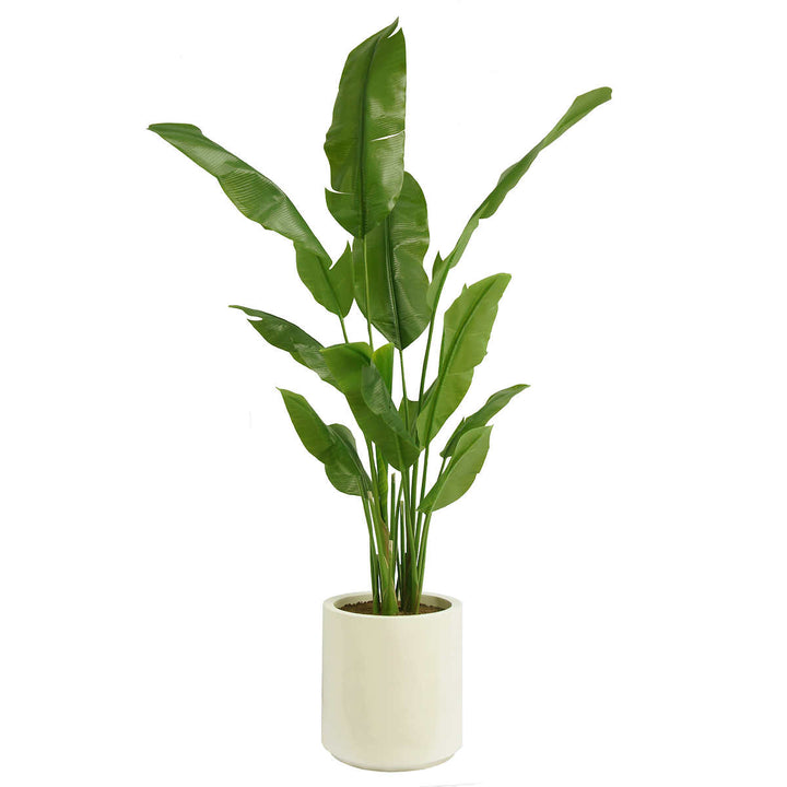 CG Hunter 78" Artificial Banana Tree in Cream Planter