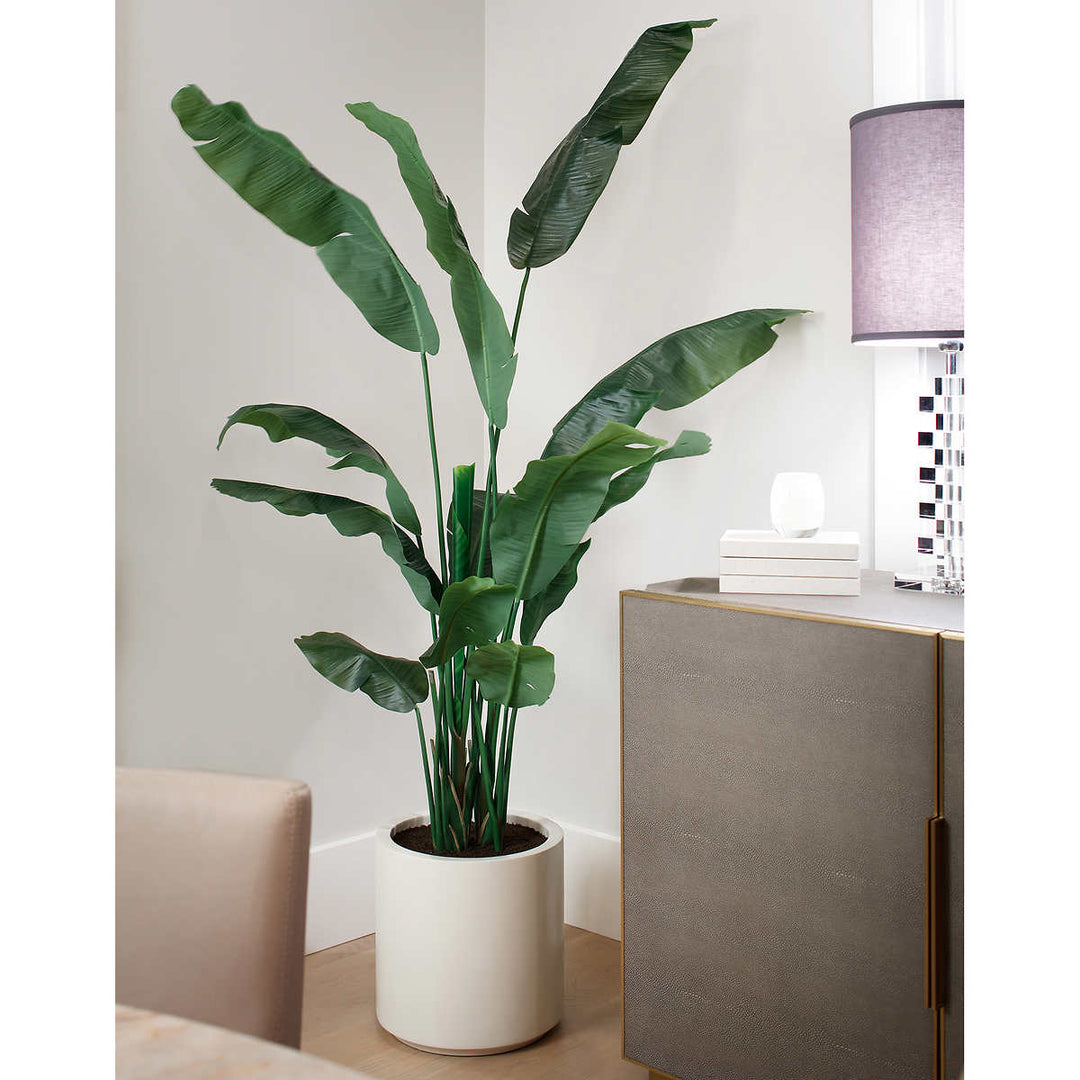 CG Hunter 78" Artificial Banana Tree in Cream Planter