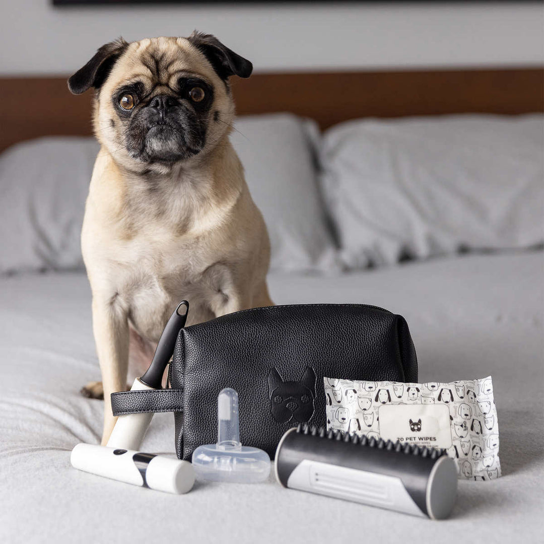 Silver Paw - Trousse de toilettage pour chien