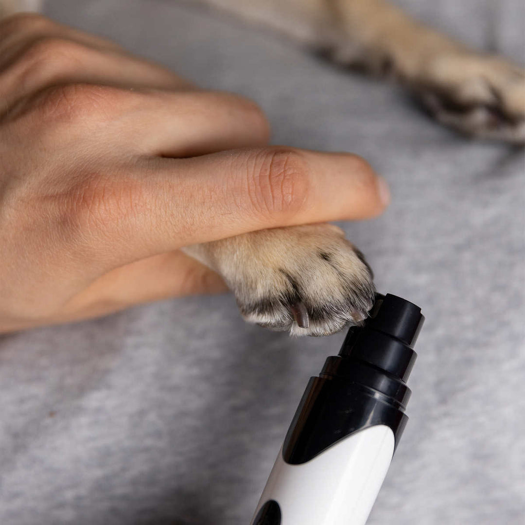 Silver Paw - Trousse de toilettage pour chien