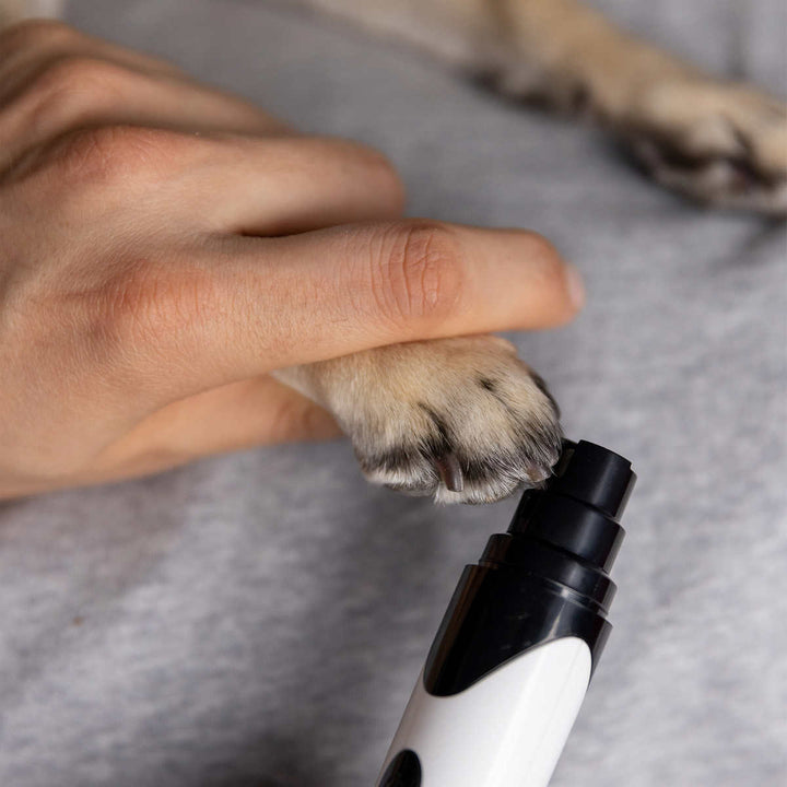 Silver Paw - Trousse de toilettage pour chien