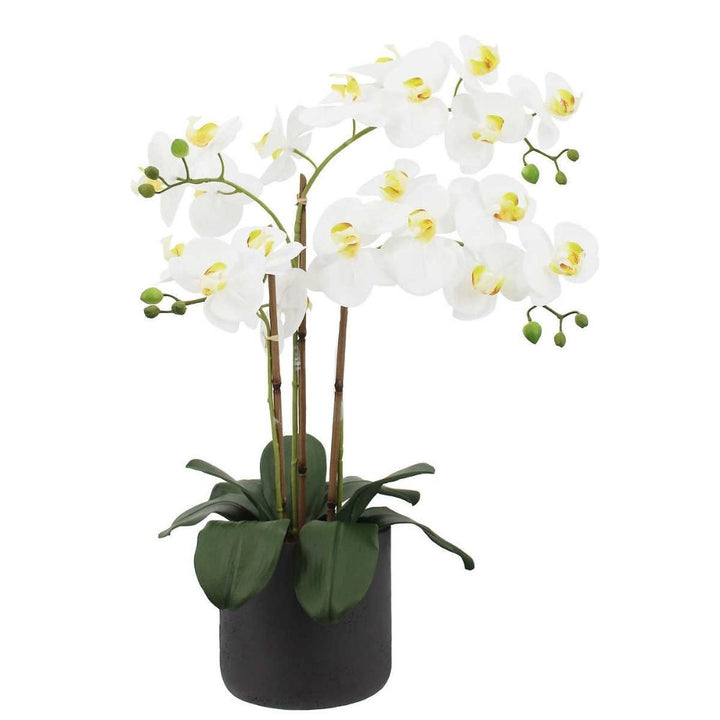 CG Hunter - 3.5 Stem Artificial Orchid 