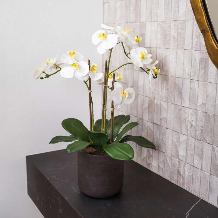 CG Hunter - 3.5 Stem Artificial Orchid 
