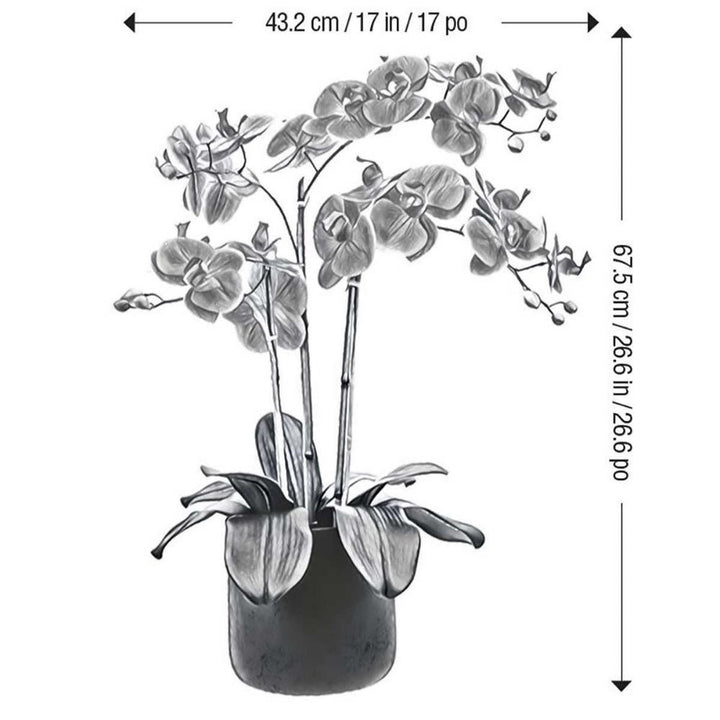 CG Hunter - 3.5 Stem Artificial Orchid 