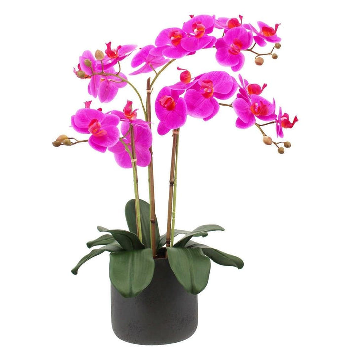 CG Hunter - 3.5 Stem Artificial Orchid 