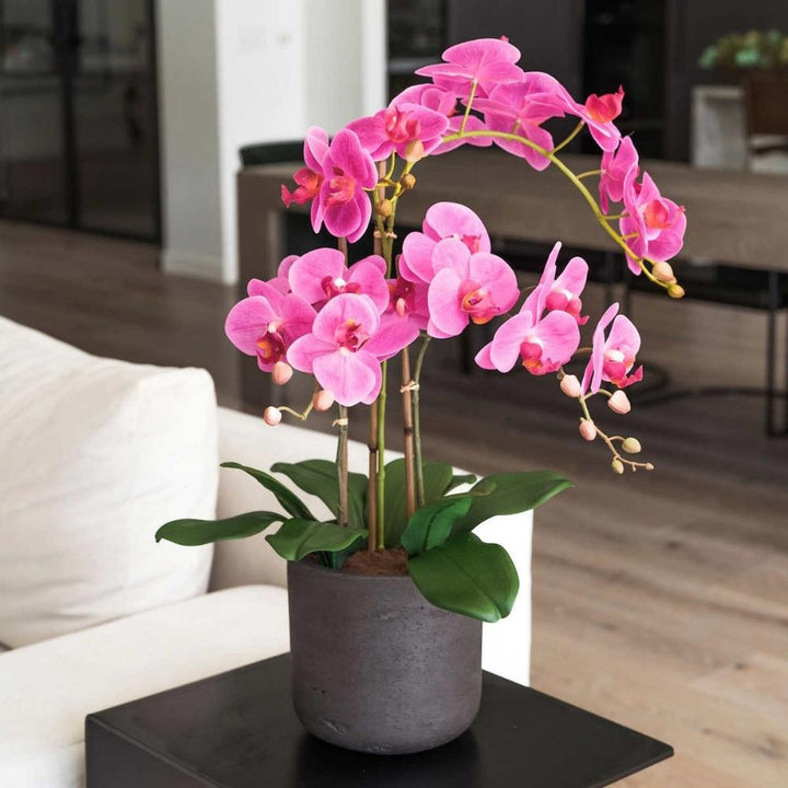 CG Hunter - 3.5 Stem Artificial Orchid 