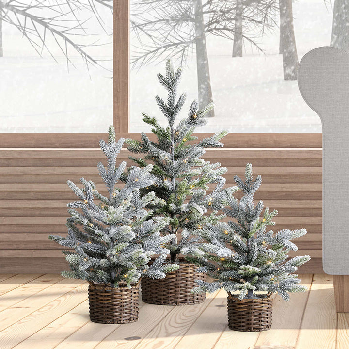 3-Piece Flocked Trees with LED Lights