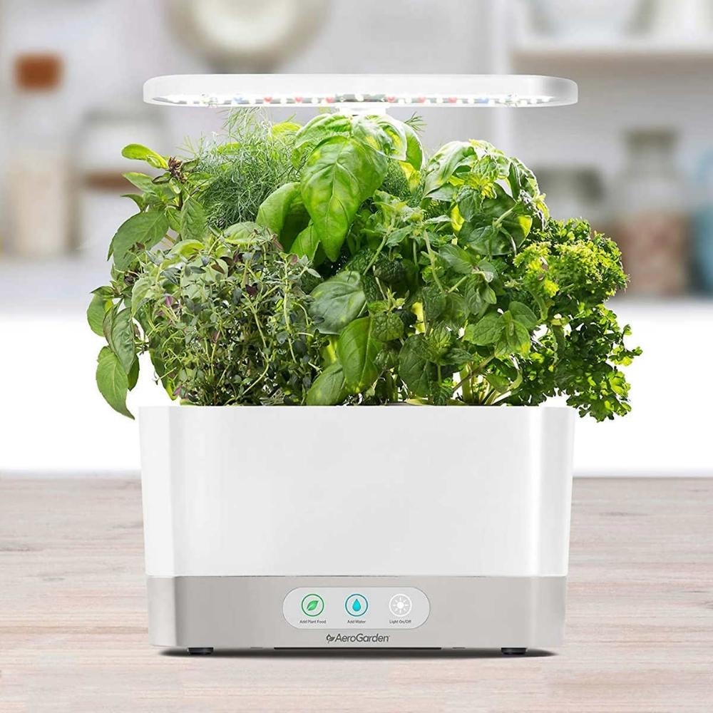 Aero Garden Harvest Indoor Garden