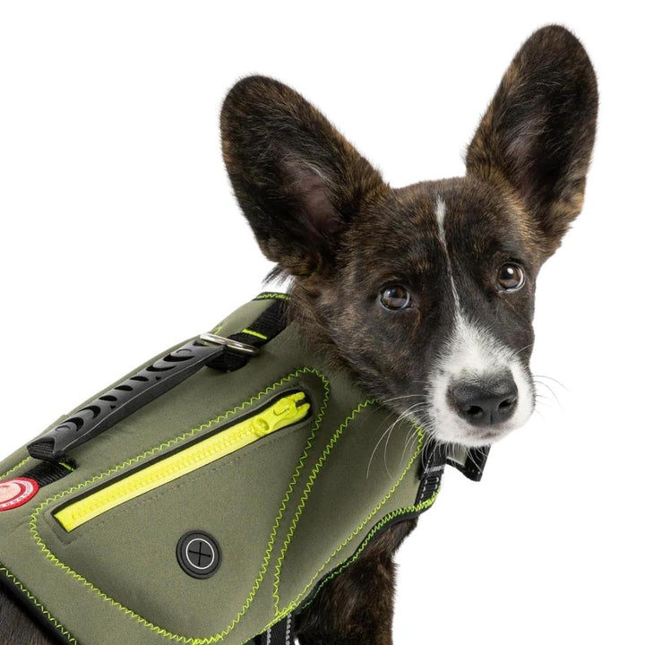 Silver Paw - Gilet de sauvetage en néoprène
