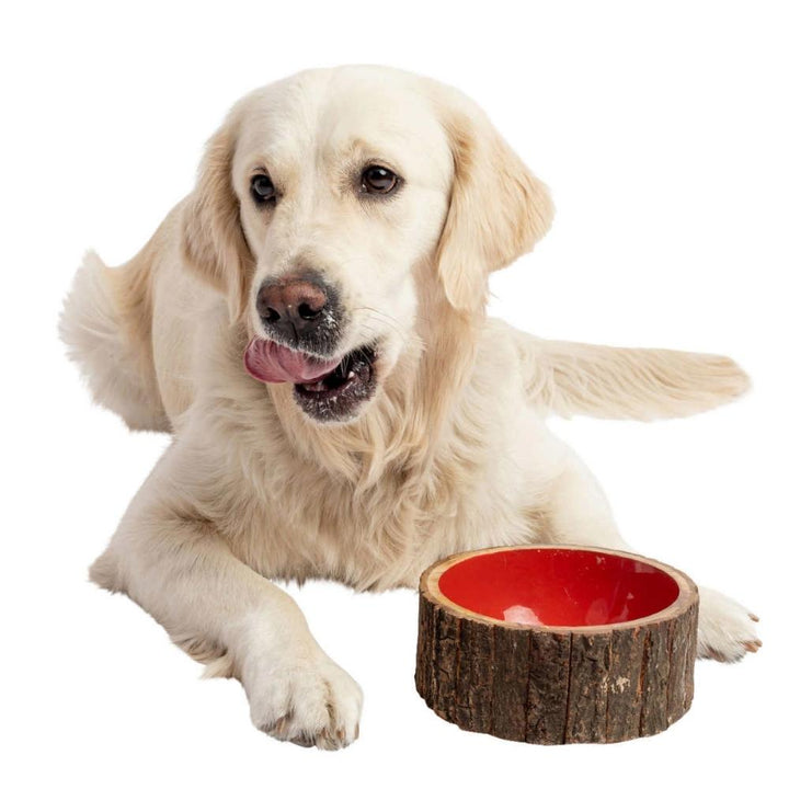 Country Living - Ensemble de 2 bols à chien en bois - Style rustique