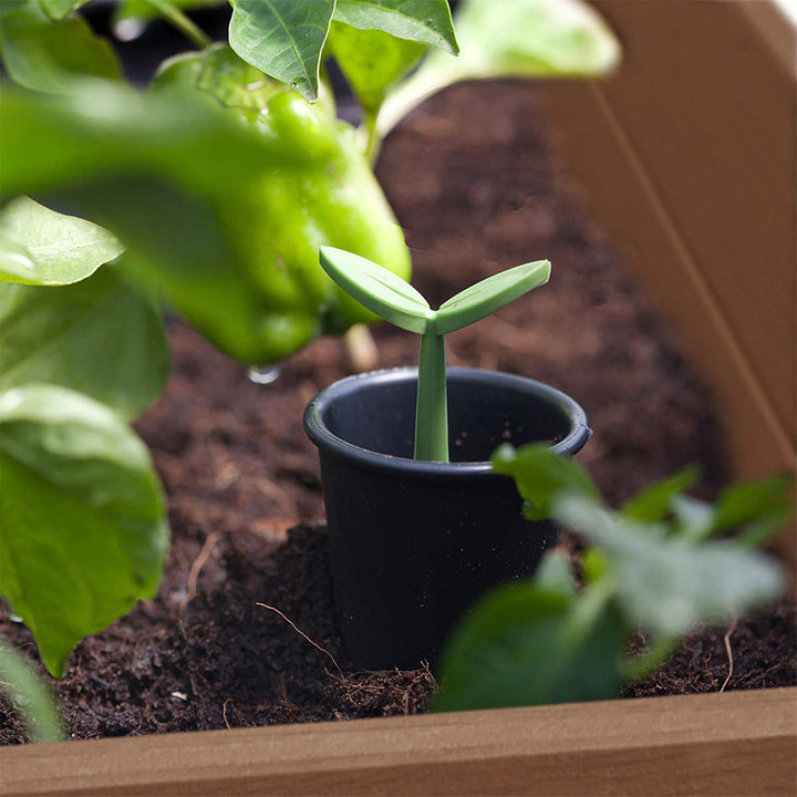 Keter - Bac de culture surélevé Darwin