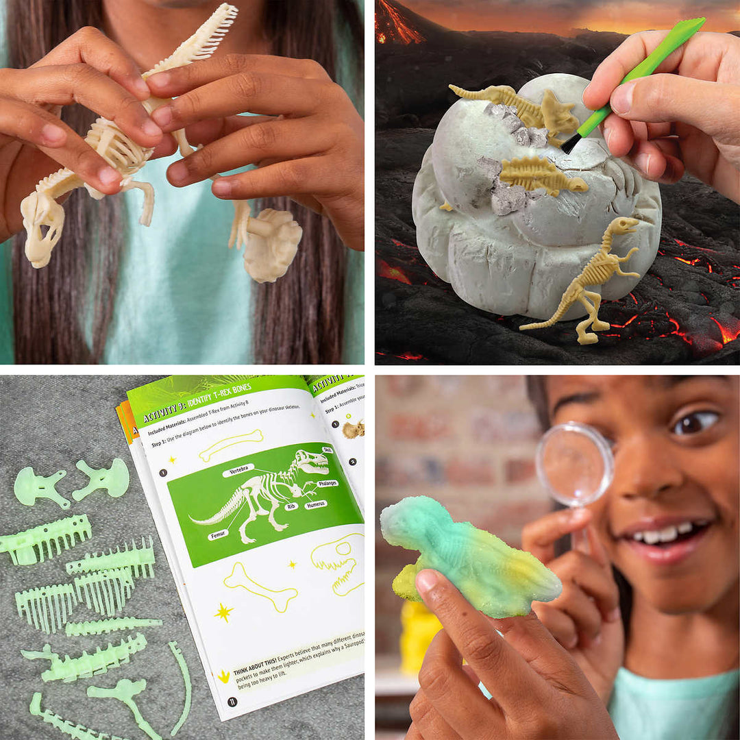 ThinkBox - Dinosaur Explorer Educational Game