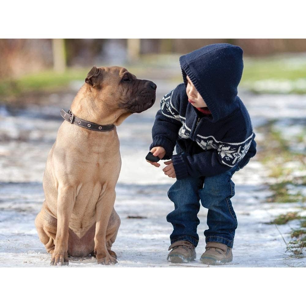 Safe Paw Pet Safe Non-Toxic Ice Melt - 4.74 kg 