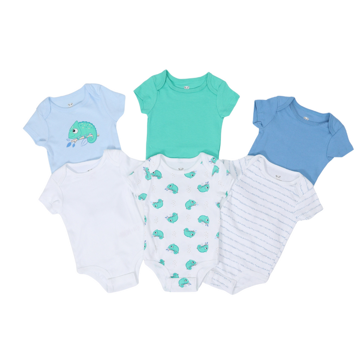 Rococo - Ensemble de 6 cache-couches