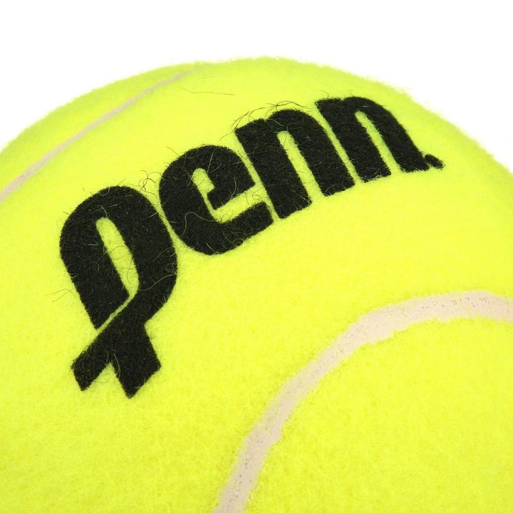 Penn Championship - Heavy Duty Felt Tennis Balls
