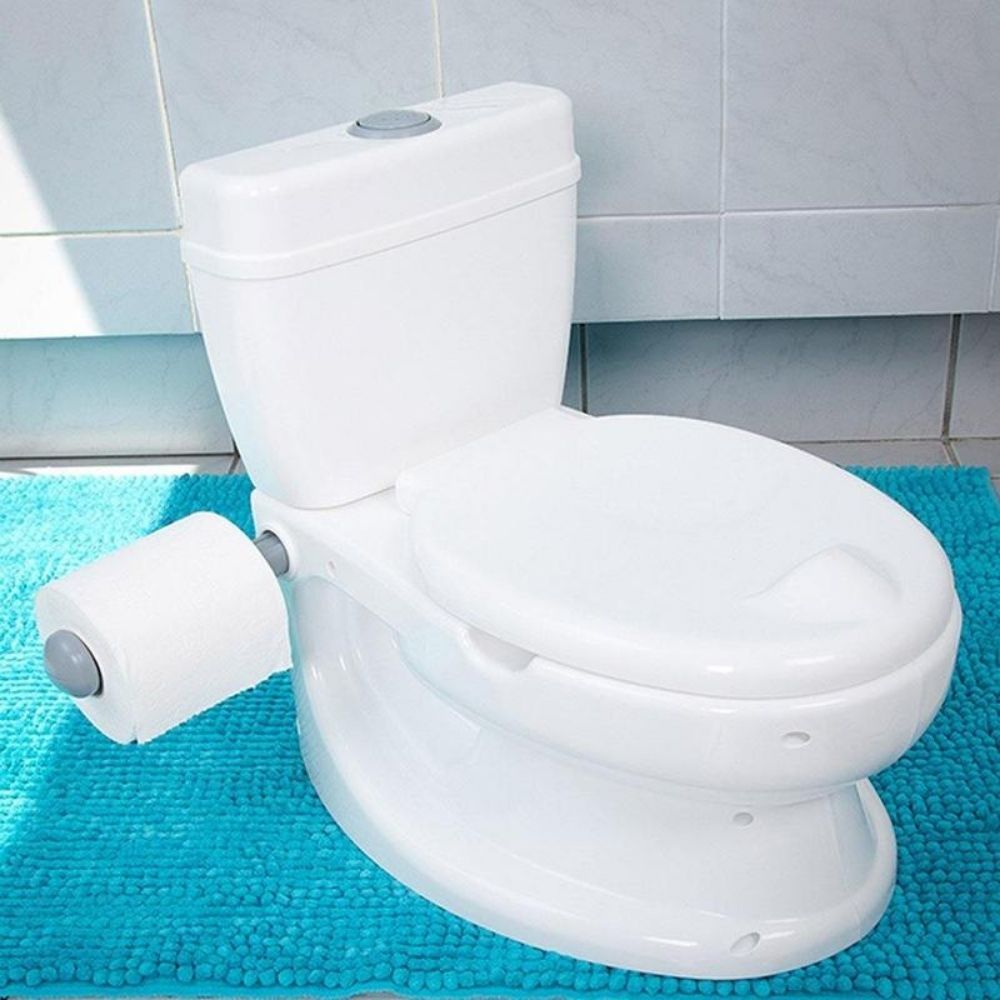 Toylet Potty Training System