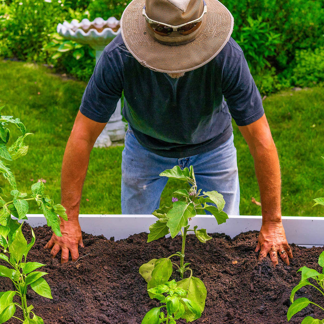 Vita - 6' x 6' Keyhole Flower Bed with Integrated Composter